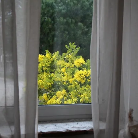 בית הארחה Stazione מונפלקונה