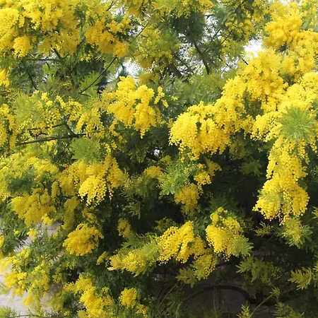 Stazione בית הארחה